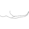 Pygofer appendages on Distantasca paraterminalis (Qin & Zhang, 2007): Pygofer process, lateral view. (Observation).