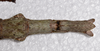 CollectionObject 1598194; QM T246604, f25ba443-f74d-4cfe-b81a-ad7eb39949d7: copyright QM. female: end of abdomen, ventral view (holotype). (CollectionObject).