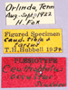 CollectionObject 1499663; 31854244-1f74-4787-bb65-0b6118b94e95: labels. (CollectionObject).