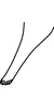 Anal tube processes on Asymmetrasca reflexilis Liu & Zhang, 2014: Anal tube processes. (Observation).