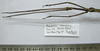 CollectionObject 1562670; 20603ec3-01e3-46c9-bf48-c588a60e8d8e: copyright FRIM. male: head and thorax of Pharncia chiniensis (paratype). (CollectionObject).