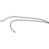Pygofer appendages on Ayubiana lantanae Ahmed, 1969: Pygofer process, lateral view (Central Nepal). (Observation).