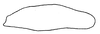 Subgenital plate, ventral view on Coarctana pedica (DeLong, 1980): Male: subgenital plate, ventral view. (Observation).