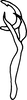 Aedeagus, lateral view on Cumora schizus (Cheng, 1980): Aedeagus, lateral view. (Observation).