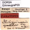 CollectionObject 1577151; 1589313c-eb4d-4c2e-9d32-78e98336041f: labels (paratype). (CollectionObject).