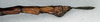 CollectionObject 1559016; NMW 145, 5f8c90e4-1952-4d91-9ee6-612bb1033b0d: copyright NMW. female of synonym Donusa glabriuscula: end of abdomen, lateral view (holotype). (CollectionObject).