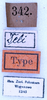 CollectionObject 1534497; ffe84872-2013-43e5-b576-d28687cd394a: labels (syntype). (CollectionObject).
