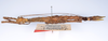 CollectionObject 1557059; c8974540-fb7c-4eb0-8b6a-845b988b2c3e: copyright ZMUH, Hamburg. female, lateral view of Anisacantha difformis (syntype). (CollectionObject).;CollectionObject 1557060; f11b3972-192c-4031-b398-c47b261b475b: copyright ZMUH, Hamburg. female, lateral view of Anisacantha difformis (syntype). (CollectionObject).;CollectionObject 1557061; e64ab6b8-4d03-4e84-a132-f4adcee7350b: copyright ZMUH, Hamburg. female, lateral view of Anisacantha difformis (syntype). (CollectionObject).