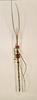 CollectionObject 1558081; cbf20512-eee4-4003-b0ae-c7e4d70dfd9d: copyright NHRS, Stockholm. male (holotype). (CollectionObject).