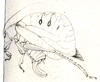 Agaurella mirabilis (Brunner von Wattenwyl, 1891): Fig. 26 [fold of plate across front part]. female habitus (body length 22 mm, pronotum 7 mm, tegmina 32 mm, hind femora 15 mm, ovipositor 10 mm). (Otu).