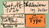 labels (syntype of Modicogryllus hermsdorfensis). Depicts CollectionObject 1500762; c44038d2-1da0-4383-97b5-119280675542, a CollectionObject.