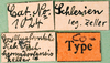 CollectionObject 1500762; c44038d2-1da0-4383-97b5-119280675542: labels (syntype of Modicogryllus hermsdorfensis). (CollectionObject).