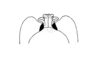 Bryophilacris muscicolor Descamps, 1976: Fig. 48. end of phallic complex without sclerite lateroventral, dorsal view. (Otu).