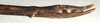 CollectionObject 1559817; NMW 377, 7586d624-7dce-4be4-8775-2f4387286cd3: copyright NMW, Vienna. female: end of abdomen, lateral view (syntype). (CollectionObject).