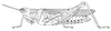 Chrotogonus (Chrotogonus) senegalensis senegalensis Krauss, 1877: Page 47, Figure 1. female, lateral view. (Otu).
