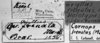 CollectionObject 1530274; 7efb4c1f-d9fa-46c5-9cba-1f147f141efc: Image Carbonell, C.S. labels (holotype). (CollectionObject).