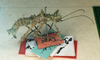 CollectionObject 1559871; 9040c824-bb14-4261-b3c7-29877d2349d6: copyright MNHU. female nymph, lateral view (paralectotype). (CollectionObject).