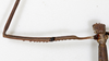 CollectionObject 1559001; 11854f69-fd51-4979-b3b0-4565cb6cf245: copyright MHNG Geneva. female foreleg, dorsal view (holotype). (CollectionObject).