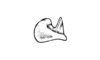 Intiacris nigroapiculatus Ronderos & Cigliano, 1989: Fig. 6. epiphallus, lateral view. (Otu).