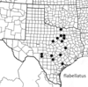 Geographic distribution. Depicts Melanoplus flabellatus (Scudder, 1878), an Otu.