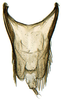Pygofer, dorsal view: Adama amalthusia, pygofer, dorsally (INHS). (Observation).