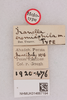 CollectionObject 1518674; e7223f37-8f08-4f96-96fe-f8aab6d48692, NHMUK014667194: labels (holotype). (CollectionObject).