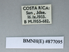 CollectionObject 1572856; 0f06cc6e-71ac-46ee-9da4-865c5005fb06: Copyright NHM, London. data labels, male, non-type. (CollectionObject).