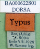 CollectionObject 1501484; 0926d850-15e8-4304-90a2-0d68fcd76c37, DORSA BA000622S01: labels (holotype). (CollectionObject).