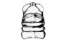 Intiacris nigroapiculatus Ronderos & Cigliano, 1989: Fig. 2. male, head and pronotum, dorsal view. (Otu).