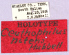 CollectionObject 1499229; 368c688c-77c9-4c5c-aa6f-92e70ccbe21b: labels (holotype). (CollectionObject).