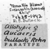 CollectionObject 1525859; 6fd2dc20-a1fb-4815-99c5-e17cb4fbe19d: labels (allotype). (CollectionObject).