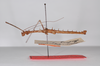 CollectionObject 1560247; 25cd9657-9ec7-4d78-b8c6-5624c5d1e223: copyright ZMB, Berlin. male, lateral view (holotype). (CollectionObject).