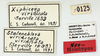 CollectionObject 1513130; 2a287952-b3e0-4bd7-b7b9-541361925660, MLP0059/1: labels (neotype). (CollectionObject).