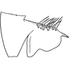 Pygofer, lateral view on Diplocolenus (Diplocolenus) ikumae (Matsumura, 1911): Pygofer, lateral view. (Observation).