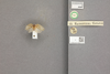 Other on Eurocalia guianae (Walker, 1851): (Observation).