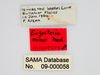 CollectionObject 1863349; 09aac49e-260f-4749-9ad0-c359bf7b12a4: (CollectionObject).