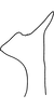Stylus on Anufrievia plana Yang & Zhang, 2018: Stylus. (Observation).