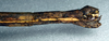 CollectionObject 1561678; NMW 357', 35696a0e-e1f6-49d4-be87-85cd5fa8e043: copyright NMW, Vienna. female: end of abdomen, lateral view (syntype). (CollectionObject).