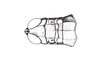 Orotettix andeanus (Bruner, 1913): Fig. 18. male, head and pronotum, dorsal view. (Otu).