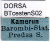 CollectionObject 1502475; 289fb021-6e91-4fca-8b80-eacdda2e1b25: labels (syntype). (CollectionObject).