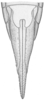 Ovipositor on Doratura medvedevi Logvinenko, 1961: female abdomen, ventral view. (Observation).