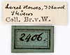 CollectionObject 1575349; dfba94db-0ad9-4f94-8831-775664827ed9: labels (not a type). (CollectionObject).