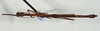 CollectionObject 1559410; 709b48d2-1f07-40d4-a5d7-111690ea043b: copyright USNM, Washington. (CollectionObject).
