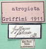 CollectionObject 1502572; 3a408f7b-c272-469d-b31b-624bcd60576b: labels. (CollectionObject).