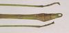 CollectionObject 1559453; 578e9e2a-4691-4089-8e01-37838b64286b: copyright Natural History Museum, London. male: end of abdomen, dorsal view (paratype). (CollectionObject).;CollectionObject 1559454; ebecc9ec-62c2-4dee-968b-3db0f117c7ff: copyright Natural History Museum, London. male: end of abdomen, dorsal view (paratype). (CollectionObject).