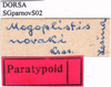 CollectionObject 1530867; 8fd8b968-69e5-4e59-a5a2-b202f828b72f: labels (paratype). (CollectionObject).