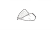 Dichroplus fuscus (Thunberg, 1815): Fig. 15. epiphallus, lateral view. (Otu).