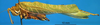 CollectionObject 1538366; 30a726c8-a333-40cb-8825-60b59b1c621d: male, left lateral view. (CollectionObject).