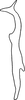 Stylus on Anufrievia crispata Tan, Jiang & Song, 2021: (Observation).