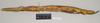 CollectionObject 1558955; NHMUK(SF IMPORT DUPLICATE) 845032-845033, 4e8d0c27-a64b-4074-a309-7ee10b0cb76a: copyright Natural History Museum, London. female, lateral view (syntype). (CollectionObject).